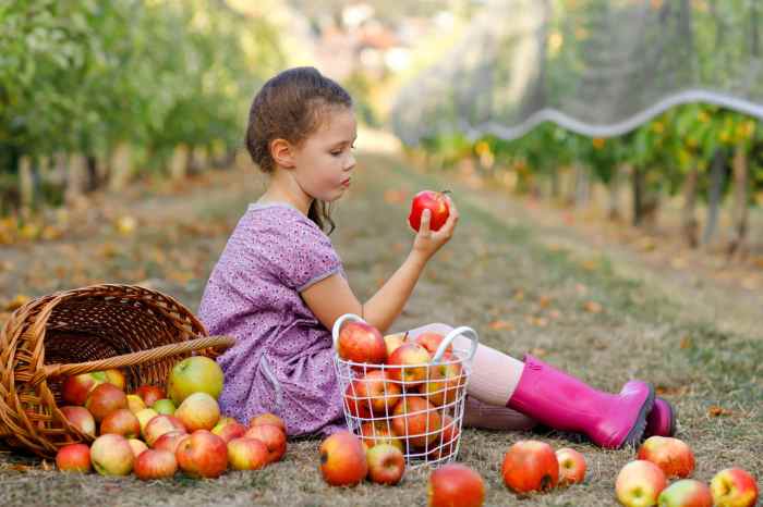 Gesunde ernährung im herbst