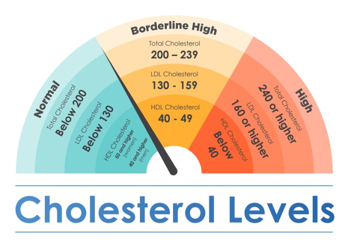 Schlechte cholesterinwerte trotz gesunder ernährung