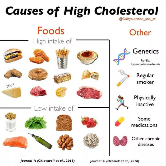 Zu hoher cholesterin trotz gesunder ernährung