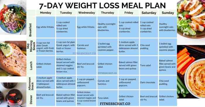 Weight meal diet plan loss lose day plans healthy eating budget list food menu week calories one quick meals paleo