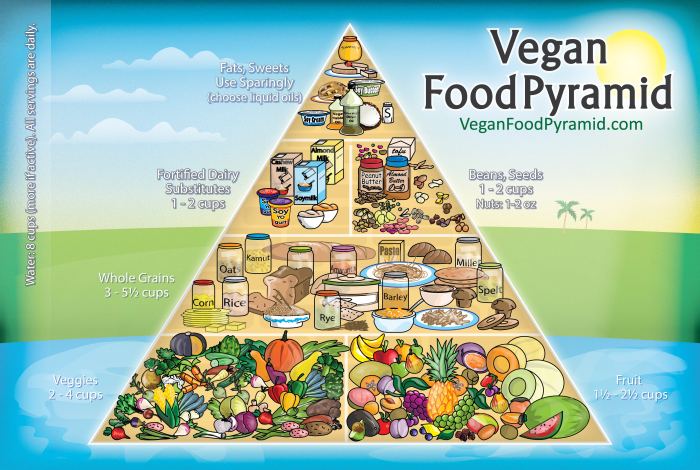 Vegane ernährung gesund oder nicht