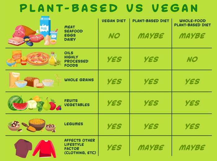 Vegane ernährung gesund oder nicht